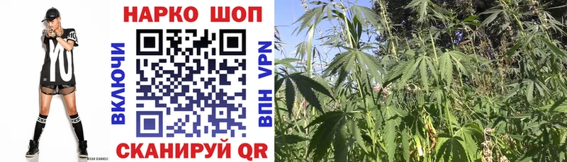 Сколько стоит Тейково MDMA Псилоцибиновые грибы ГАШ Кокаин APVP Конопля