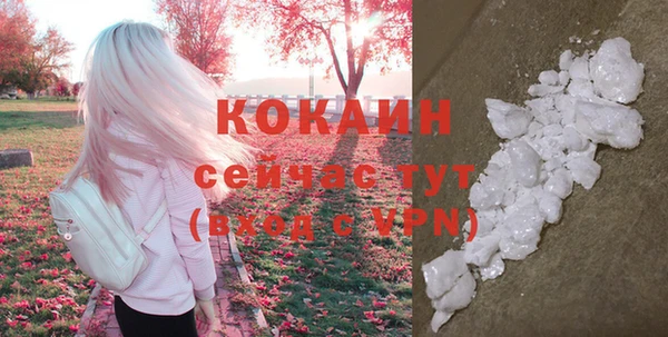 дживик Лихославль