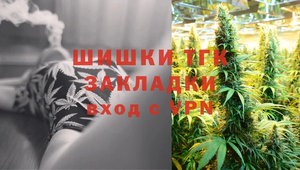 индика Липки