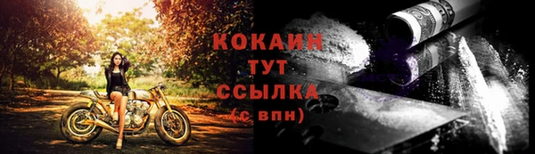 индика Липки