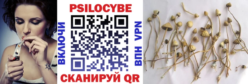 магазин продажи   Тейково  Галлюциногенные грибы Psilocybine cubensis 